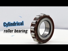 61243YSX Silindrik Rol Nylon Kafes Eksantrik Lageri Koyo 61243 YSX vites kutusu için 22*58*32 mm