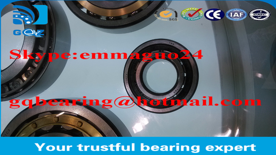 Nylon Kafes Silindrik Rol rulman NJ2310ETN / P6C4 / BTW NSK GQZ markası