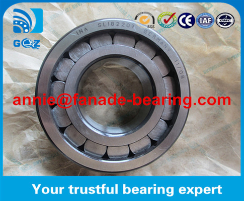 Pulley wheel Silindirli rulo rulmanı SL185006 INA 30X55X34 mm SL185006 bantlı hino kamyon parçaları