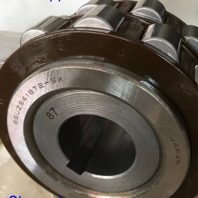 65UZS418T2X-SX-87 Kabuklu Silindrik Rol rulman 65UZS418 Naylon Kafes Eksantrik rulman