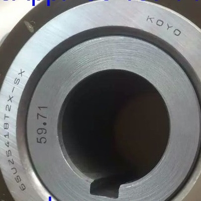 65UZS418T2X-SX-87 Kabuklu Silindrik Rol rulman 65UZS418 Naylon Kafes Eksantrik rulman