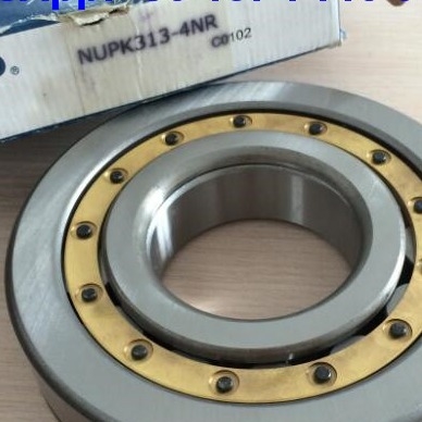 NUP313-4N Silindrik Rol rulmanları NUPK313-4NRS02C3 Snap Ring ile Rol rulmanları
