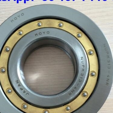 NUP313-4N Silindrik Rol rulmanları NUPK313-4NRS02C3 Snap Ring ile Rol rulmanları