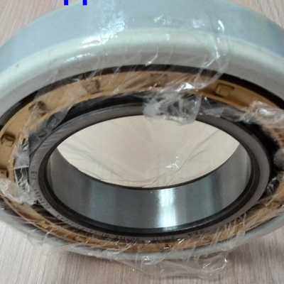NU320ECM / C3VL0241 Elektrikli Insocoat Silindir Rol rulman 100x215x47mm