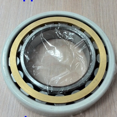 NU320ECM / C3VL0241 Elektrikli Insocoat Silindir Rol rulman 100x215x47mm