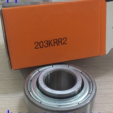 203KRR2 Metal Kalkanlı Girdi Top Taşıyıcısı / Tarım Taşıyıcısı 16.256*40*18.288 / 12mm