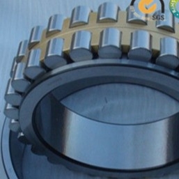 NSK GCR-15 P5 P4 Kaya delme makineleri için Çift Satırlı Rol rulman rulmanı NN3009MBKR