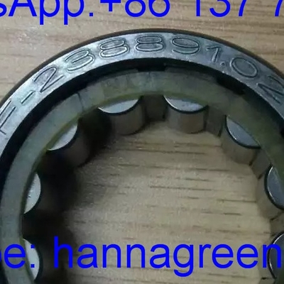 F-238891.02 / F23889102 Tek sıra silindirli rulo rulmanı / vites kutusu rulmanı 32*53.5*19.5mm