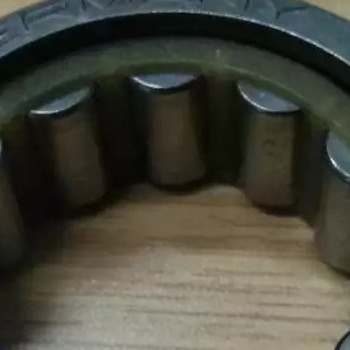 F-238891.02 / F23889102 Tek sıra silindirli rulo rulmanı / vites kutusu rulmanı 32*53.5*19.5mm