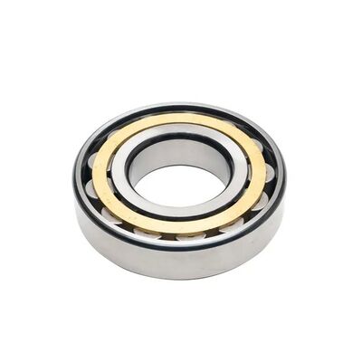 SL045014-PP Double Row Full Complement Cylindrical Roller Bearing with PP Lip Seals for Heavy Load Applications