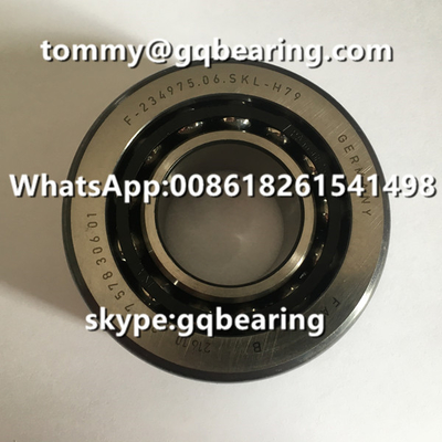 Chrome çelik malzemesi FAG F-234975.06 F-234975.06.SKL-H79 BMW Farklı Otomobil Lageri