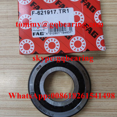 Nylon Kafes F-621917.TR1 Otomobil Şanzımanı için Konik Rol rulman rulmanı