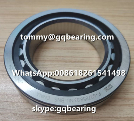 VW AG INA F-627858.03.NU-BNS Silindrik Rol rulmanlı krom çelik malzemesi